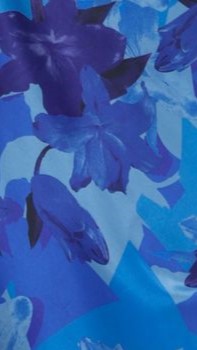 Women's Miya Maxi Dress – Blue Floral